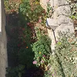 By The Sea Brist, Makarska - 15443 Apartamento *