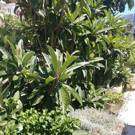 By The Sea Brist, Makarska - 15443 Apartamento